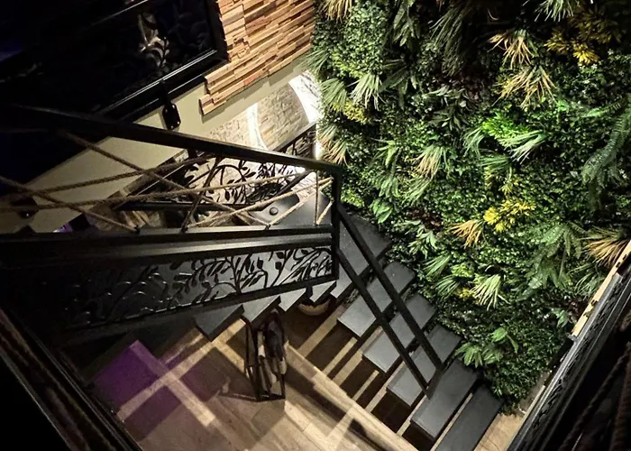 Taelia Appartement Rosult